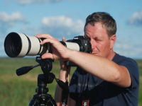 FotoSafari nad Biebrzą fotosafari biebrza